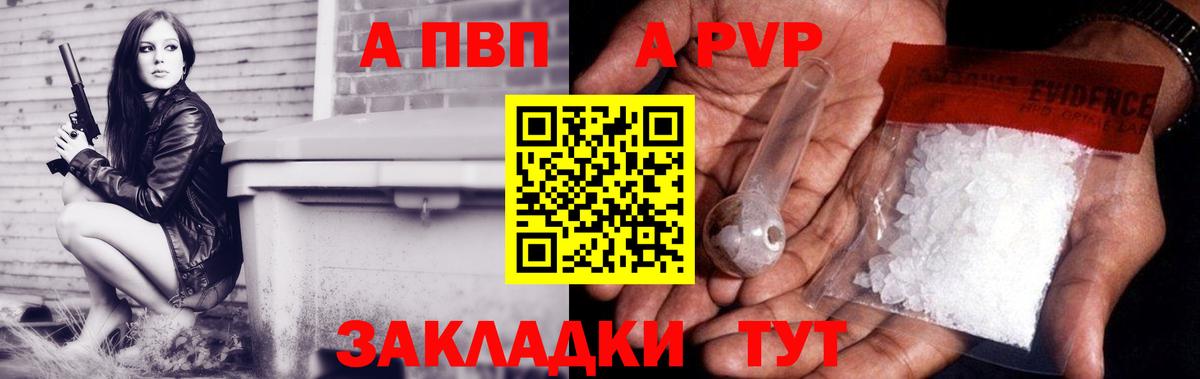 Alfa_PVP СК Хасавюрт